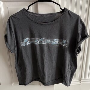 Billabong Gray Cropped T-Shirt With Waves Graphic Women’s Size Large